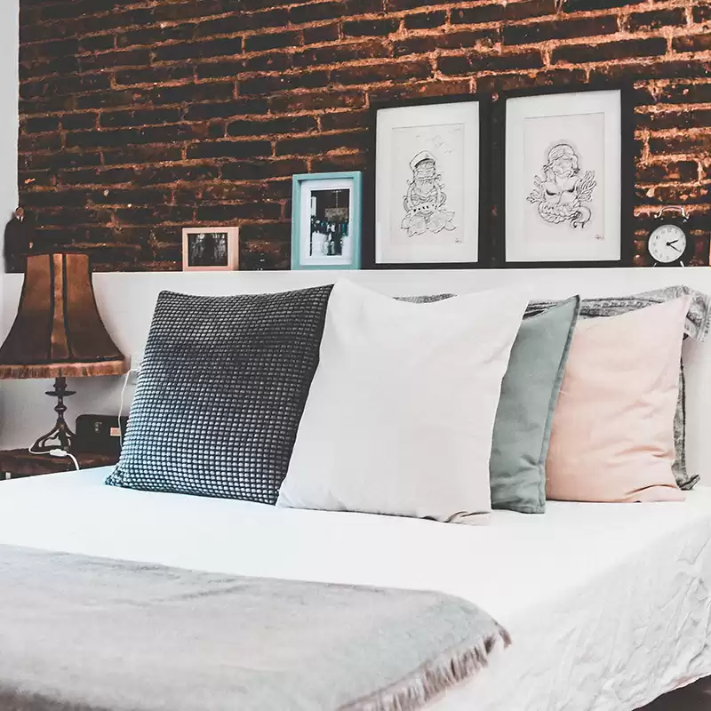 Almohadones de Tusor x 4