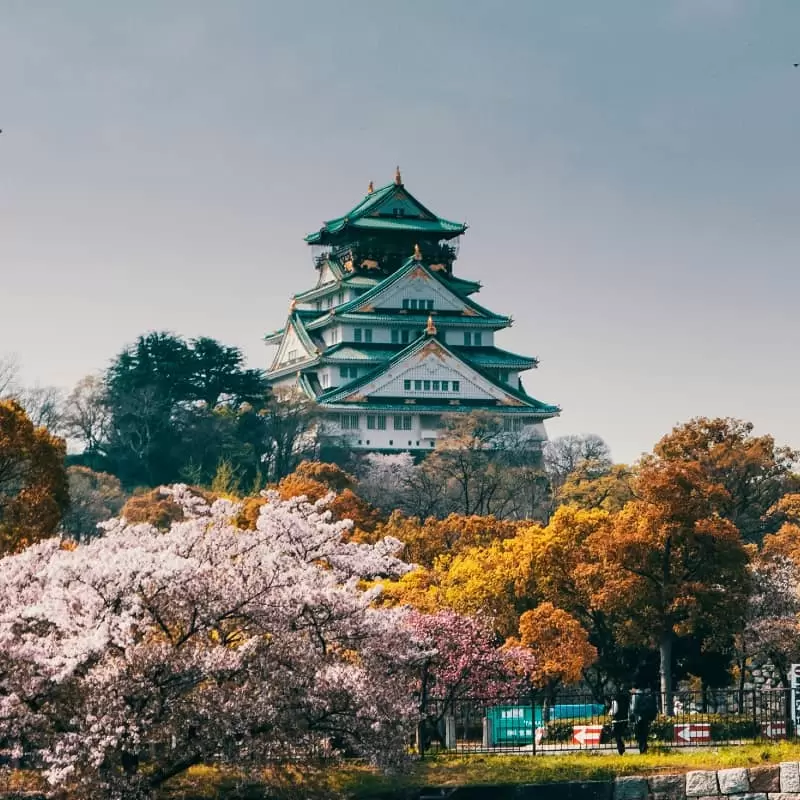 Estadía en Osaka